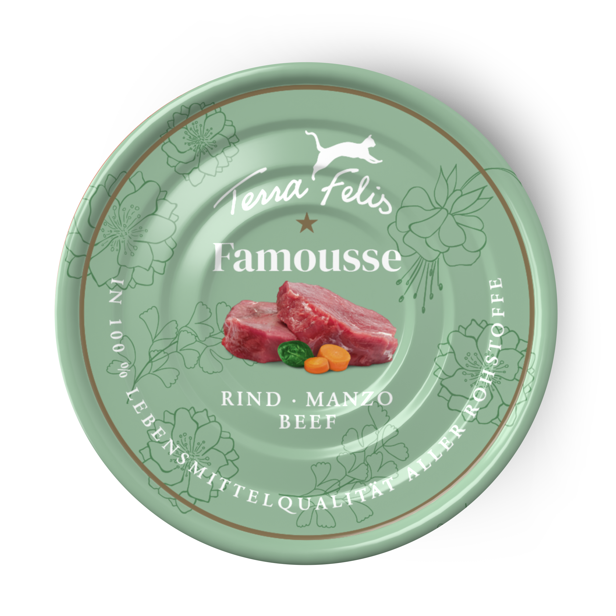 Terra Felis（テラフェリス）ビーフ ファムース モノプロテイン