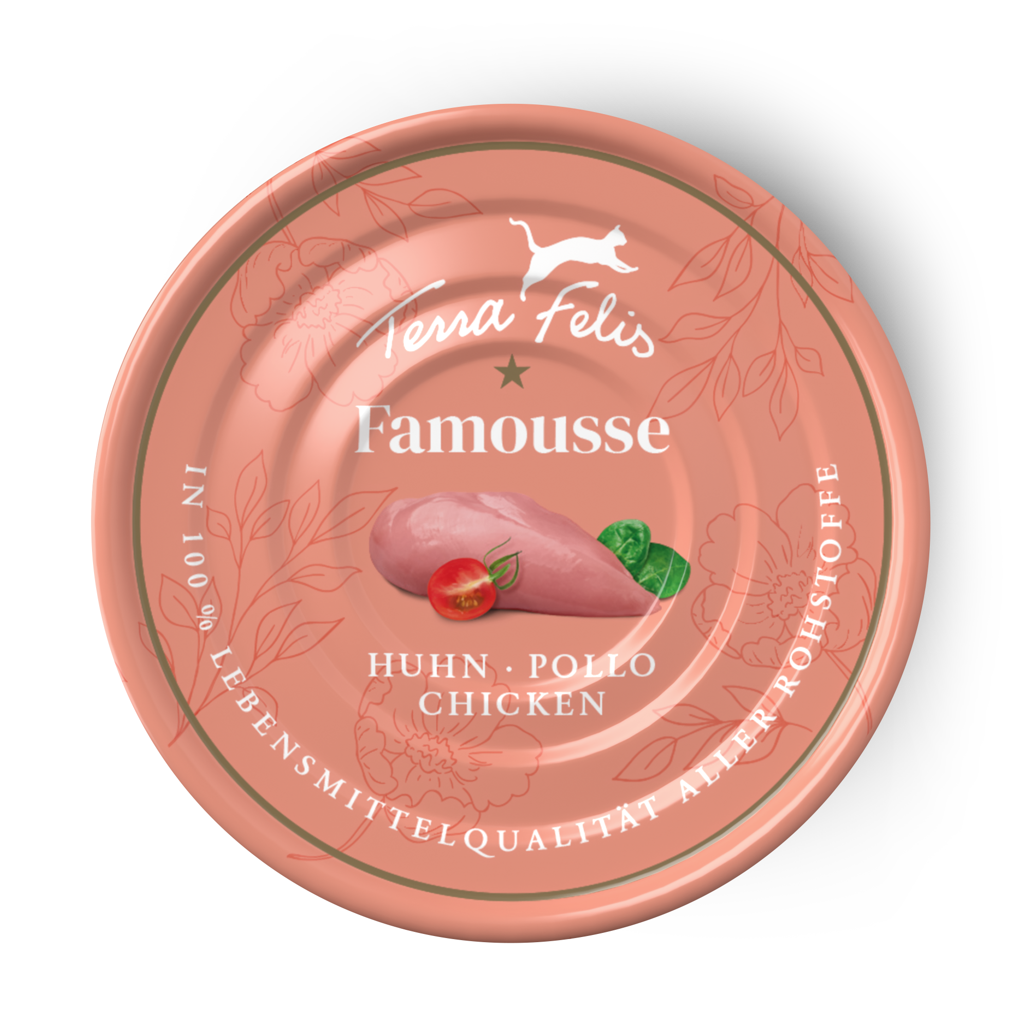 Terra Felis（テラフェリス）チキン ファムース モノプロテイン