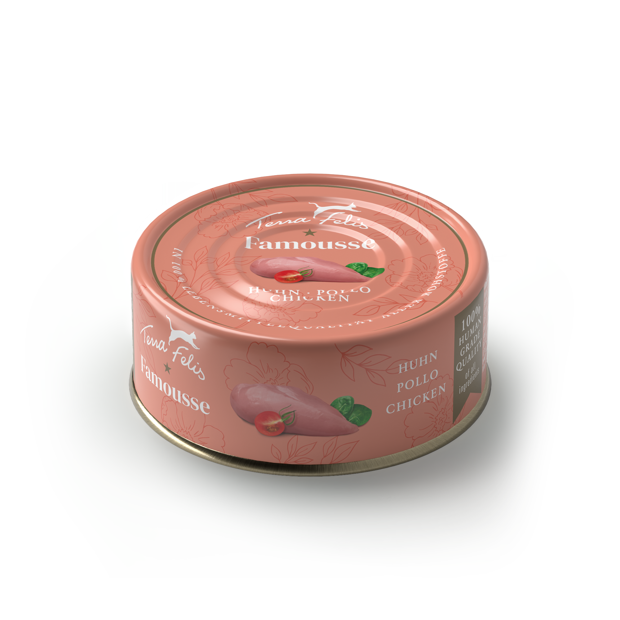 テラフェリス チキン