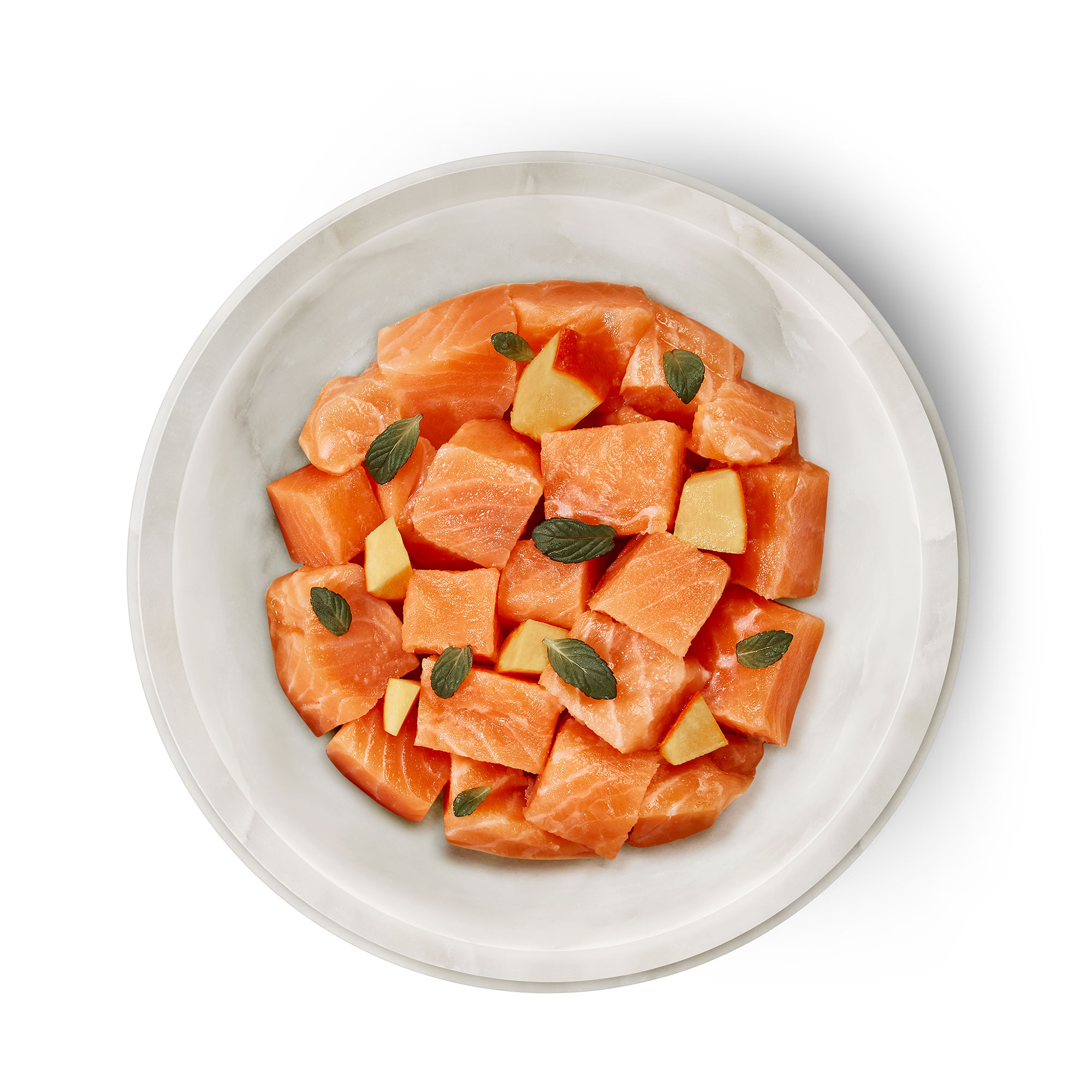 Terra Felis（テラフェリス）サーモン ファムース ファムース モノプロテイン