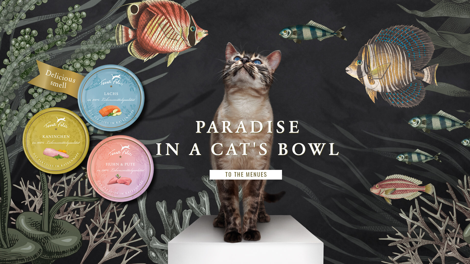 TerraFelis(テラフェリス) 輸入元・卸販売　株式会社Tricco International （トリッコインターナショナル）
